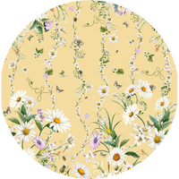 DAISY CHAINS