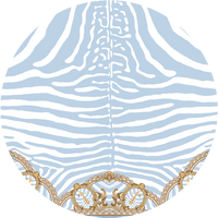 SPIRIT OF STRIPES