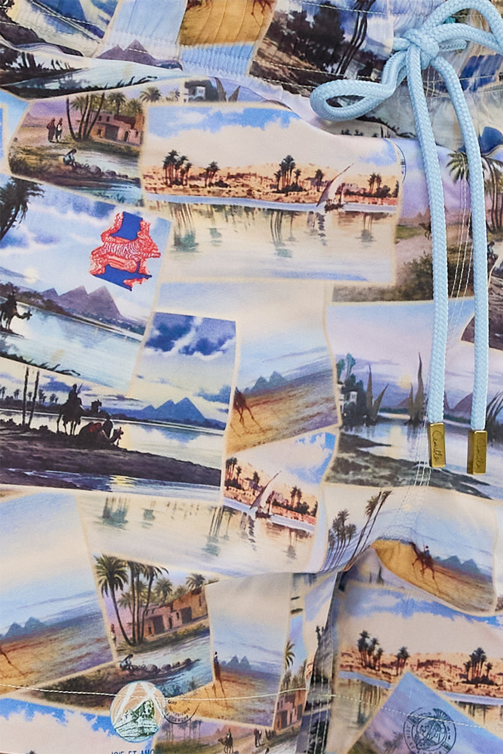 Hotel Franks By CAMILLA short swim short in Call Me in Cairo print. 