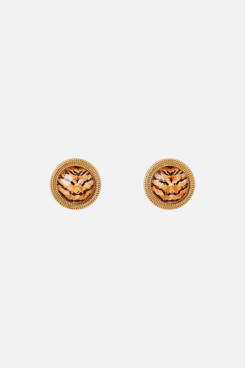 GOLD CLOTHING MAGNETS CASE OF CURIOSITIES