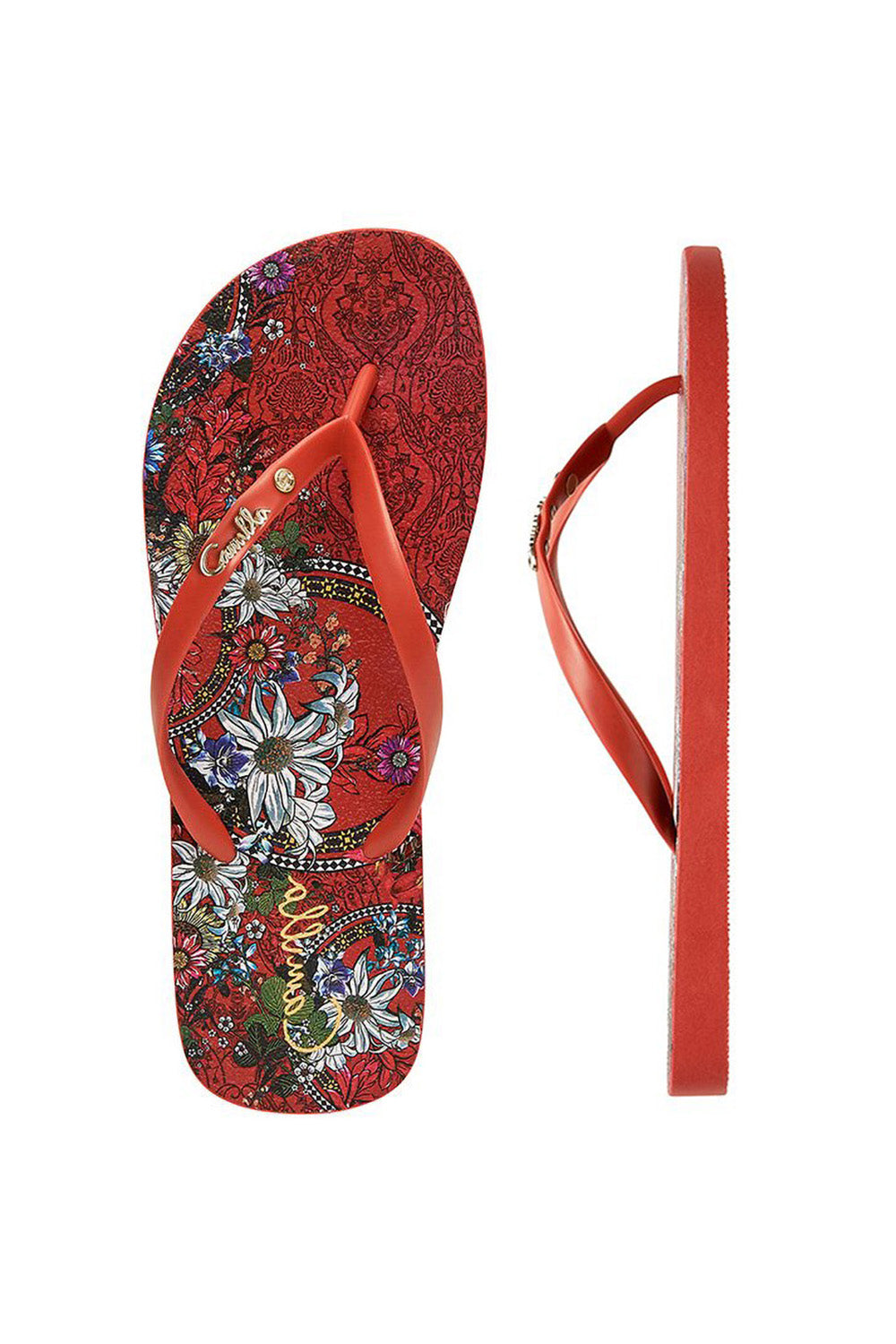 THONG WONDERING WARATAH