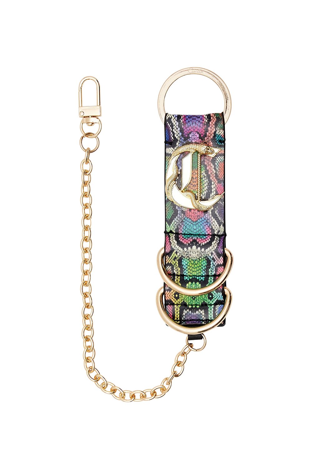 RAINBOW SNAKE KEYRING COMING DOWN FROM COSMOS